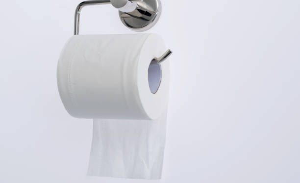 Les conseils pour bien choisir son Porte papier toilette