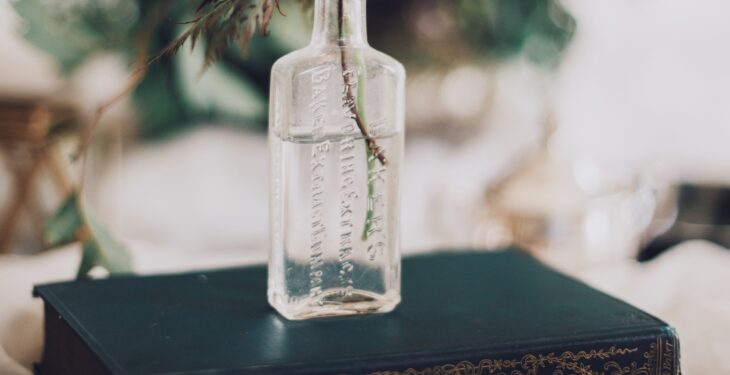 Sublimez votre intérieur avec un vase vintage : le guide ultime